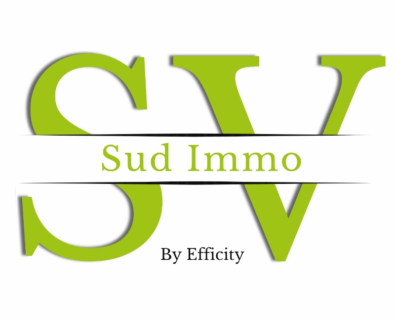 SV SUD IMMO